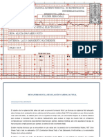 Mecanismos de La Regulacion Cardiaca Fet