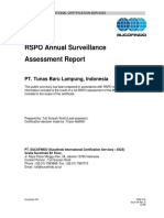 Surveillance Assessment Report Final 1.compressed