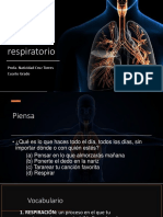 Sistema Respiratorio