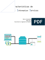 Caracteristicas IIS