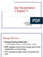 Cellular Respiration PowerPoint