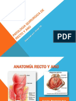 Rectoyanogrupo1a 170301064316