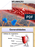 Aula 6 - Inflamação - Conceitos Gerais 2020