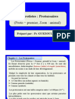 2 - Protozoaires (Mode de Compatibilité)