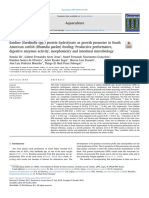 Sardine Protein Hydrolysate