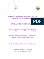 Efectos de Diferentes Tecnicas D Fisioterapia en El Tratamiento de La Espasticidad. Revision Bibliografica.