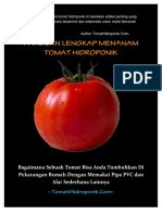 Panduan Menanam Tomat Hidroponik