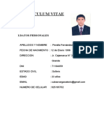 Curriculum Vitae Ricardo