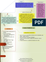 Mapa Mental - CTL