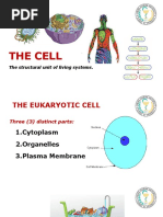 The Cell: The Structural Unit of Living Systems