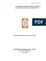 Caracteristicas Neuropsicologicas Niños Amaya 2009