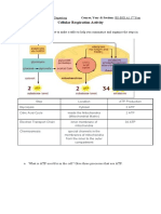 Cellular Respiration Activity (Repaired)