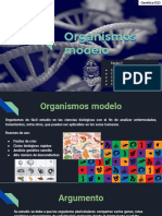 Presentación de Organismos Modelo