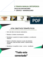 Terapia Manual en Disfunciones Craneomandibulares