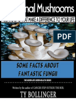 Medical Mushrooms