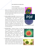 Deoxyribo Virus and Ribovirus