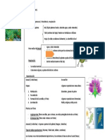 Esquema Naturales Las Plantas