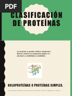 Clasificacion de Proteinas