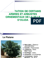 Cours Arboriculture Ornementale 2