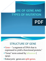 Structure of Gene and Types of Mutation