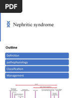 Nephritic Syndrome