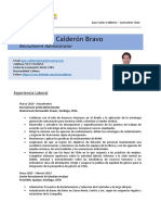 Template CV 2020 MRP