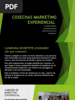 Marketing Experiencial