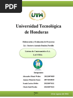 Informe Final Proyectos