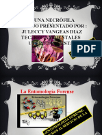 Fauna - Entomologia Forence - Juleccy Vanegas