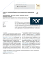 Kinetics of Froth Flotation of Naturally Hydrophobic Solids With Different