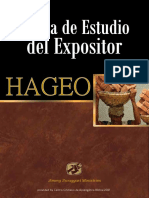 Biblia de Estudio Del Expositor - HAGEO - JSM