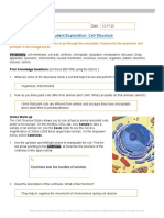 Student Exploration: Cell Structure