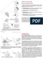 Week 10 Rock Slope Stability Analysis