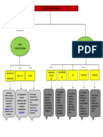 Mapa Conceptual