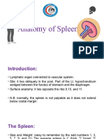 Ana. D. Muayad L3 Anatomy of Spleen