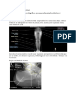 Tarea 2