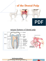 Section Pulp