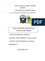 Informe Del Orden ODONATA