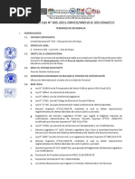 PROCESO CAS 005 - Responsable de Racionalizacion