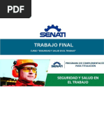 Trabajo Final - SST