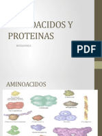 Aminoacidos y Proteinas