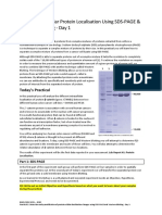 2020 - Prac 1 - SDS-PAGE and Western Blotting - BMOL3201 - 6231 - Student Notes - FINAL