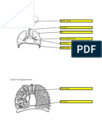 1 Label The Diagram Below.: Chapter 1: Respiration