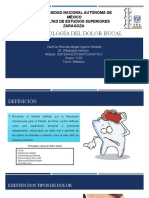 Fisiopatología Del Dolor Bucal