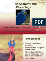 Avian Anatomy and Physiology: Christine Fiorello, DVM, PHD, Dipl. Aczm