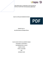 Informe de Laboratorio para La Identificación de Hongos Fitopatogenos en El Cultivo de Caña