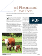 Dairy Retained Placenta