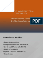 Presentación de Clases Unidades 1 y 2 - Derecho Ambiental y de La Naturaleza