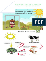 A Importância Do Sol para As Plantas