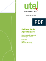 3er Evidencia de Aprendizaje Pruebas Psicológicas